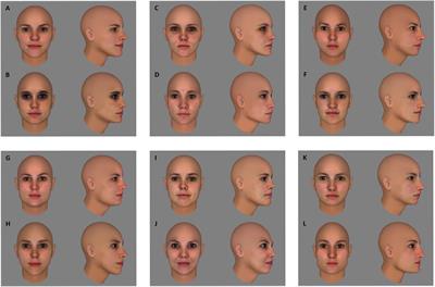 Temporal Contiguity Training Influences Behavioral and Neural Measures of Viewpoint Tolerance